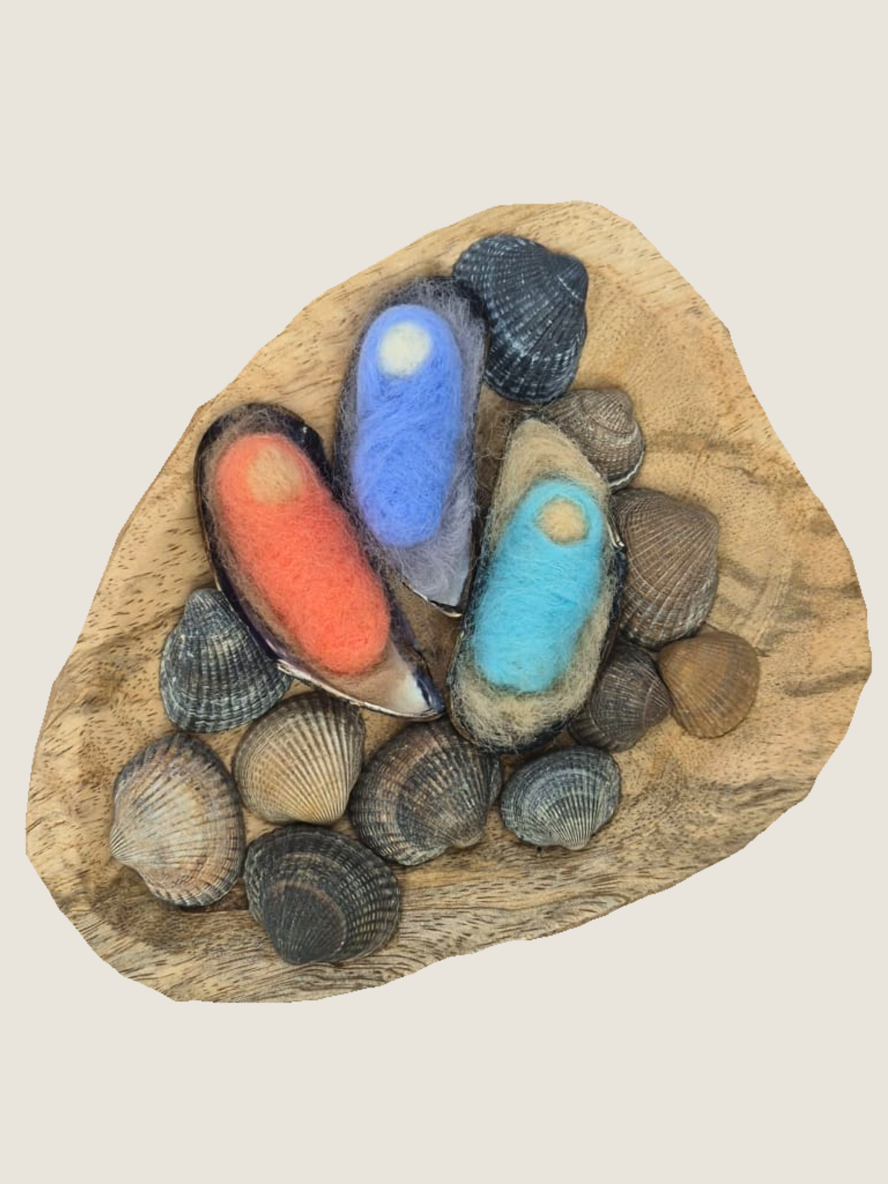 Schlafende Muschel-Babys im Set